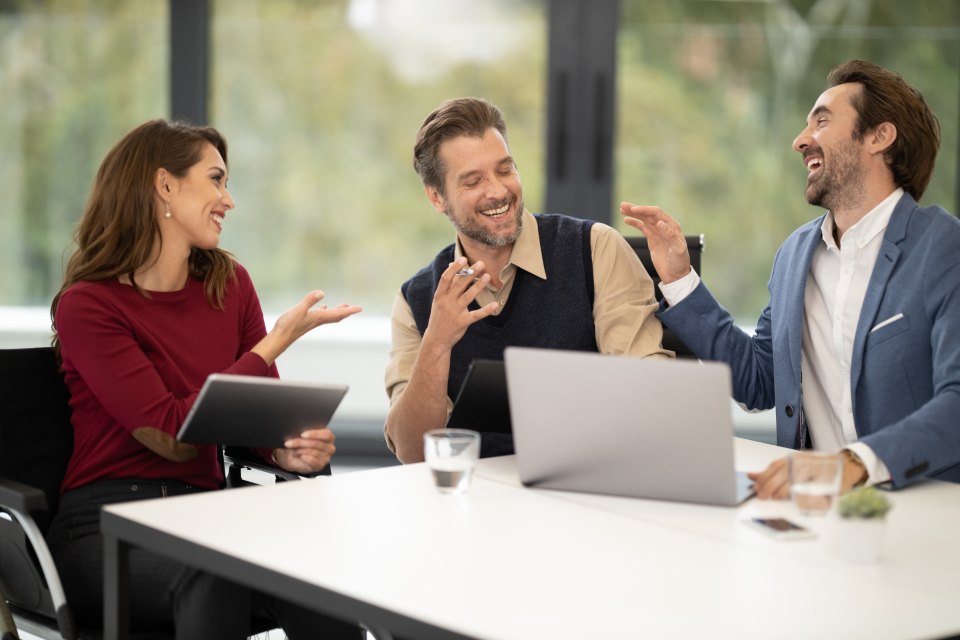 Servicios Profesionales y Ejecutivos